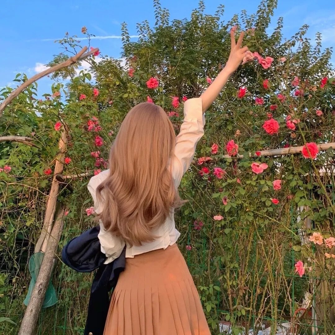 芒果和红色轮椅